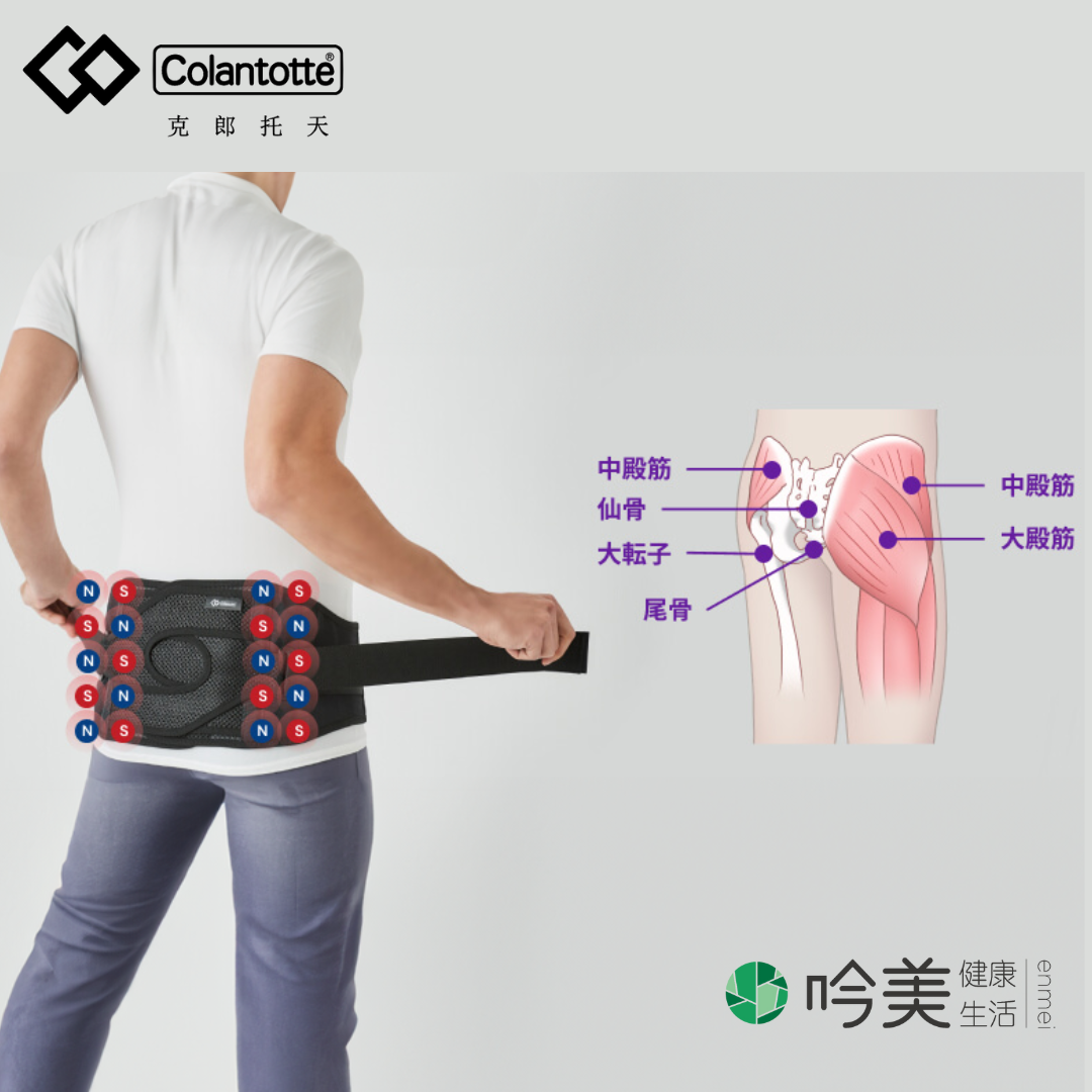 MAG Supporter護腰帶價格 - 吟美健康